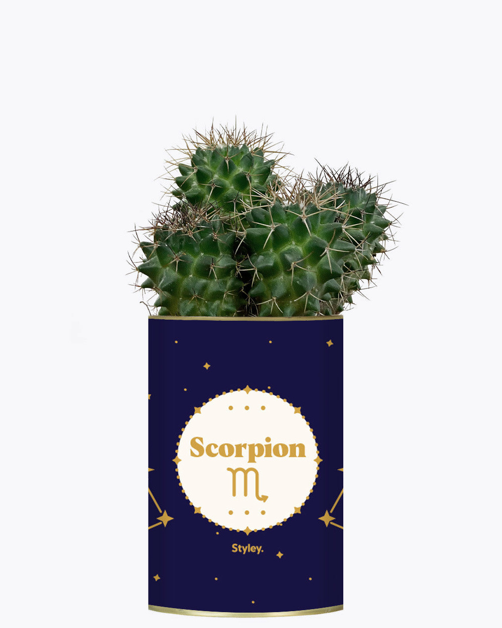 Idée cadeau - astrologie - plante zodiac