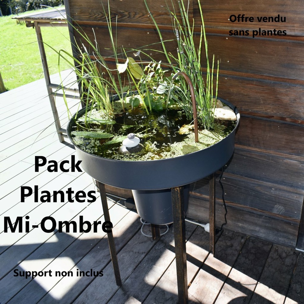 Pack petit jardin aquatique pour terrasse, balcon, 60litres avec accessoires + oxygénateur 220v + fontaine /sans plantes