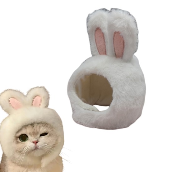 Costume d'halloween pour chat