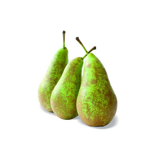 Poirier nain pearlite - nains de jardins® pot de 5l - 40/80 cm