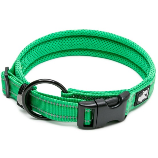 Collier chien flex - L : 45 - 50 cm - Vert