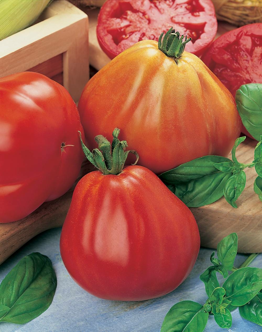 Tomate borsalina hf1 - 10 semences
