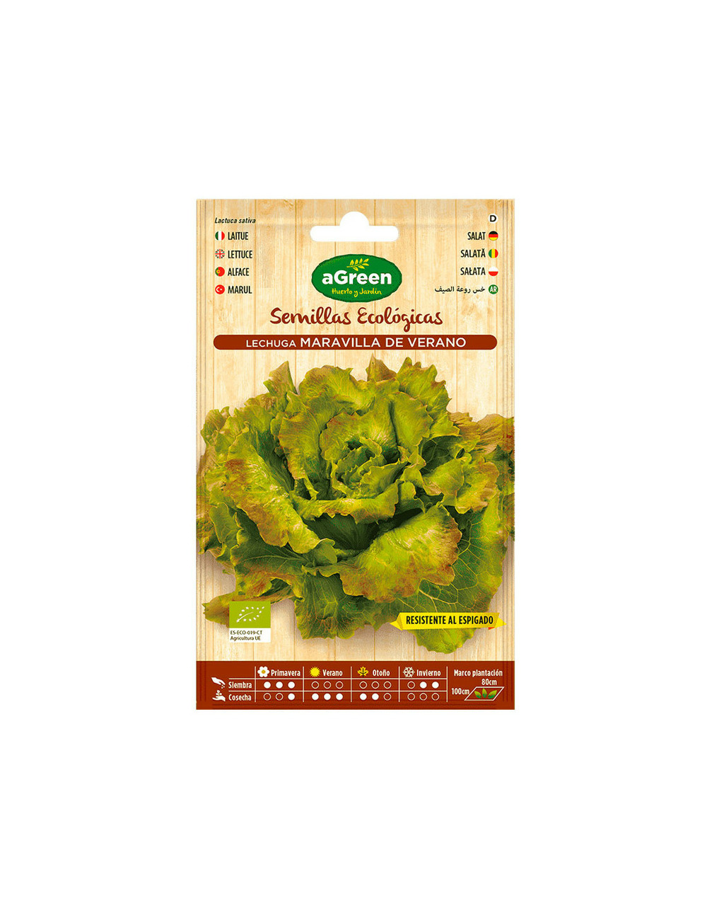10 envelope of eco seeds salad maravilla agreen