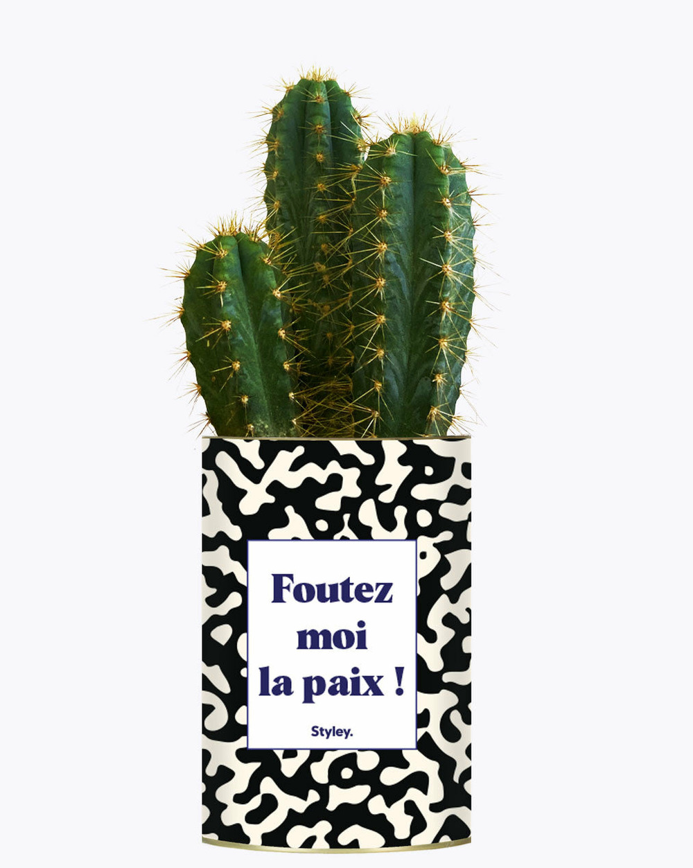 Plante drôle - foutez moi la paix - cactus