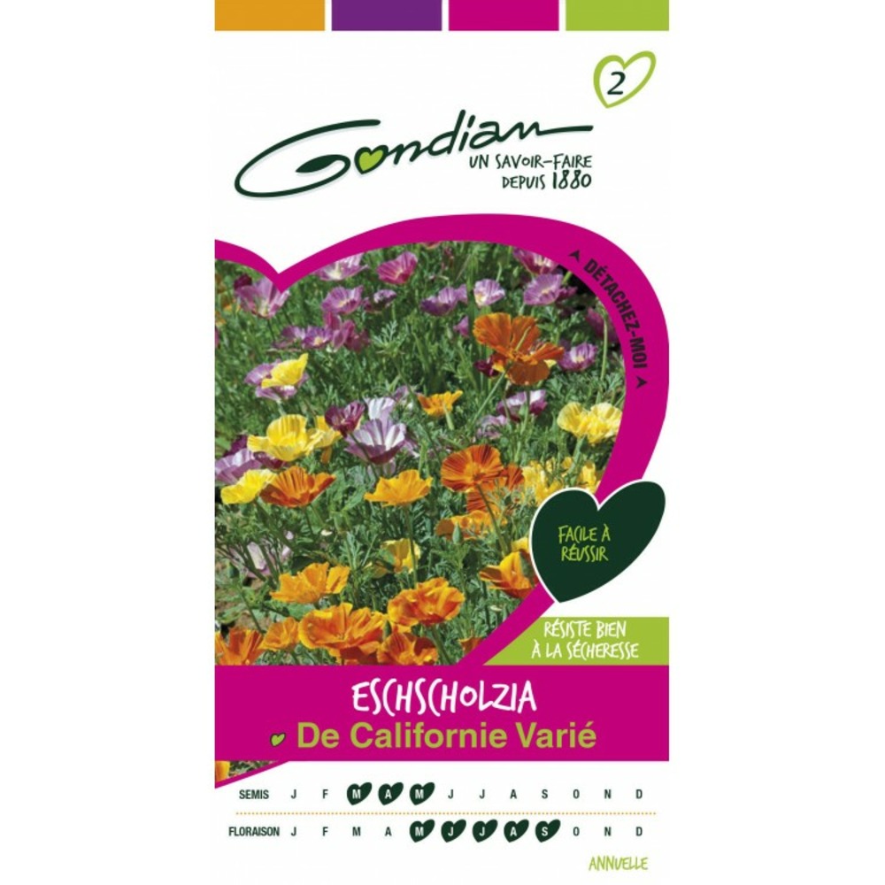 Escholzia de californie varié