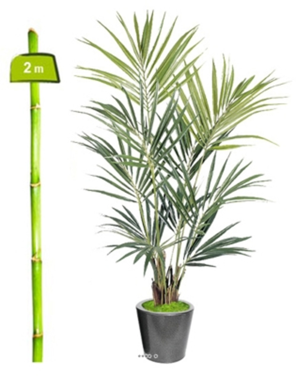 Palmier Kentia artificiel H 200 cm