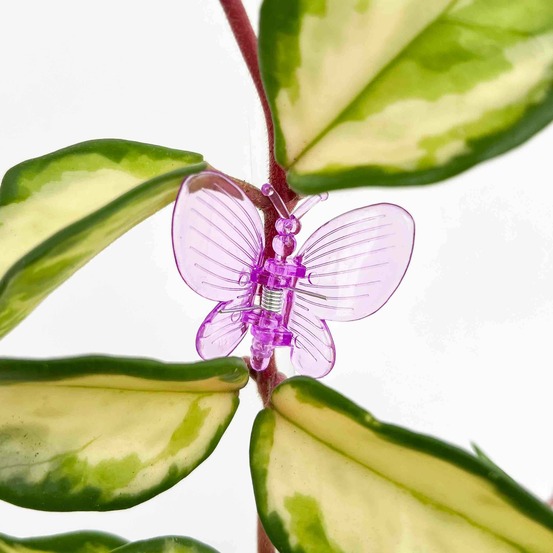 Pinces papillon pour plante x10 - pince tuteurage papillon - clips de support - pinces de support pour plantes - lilas