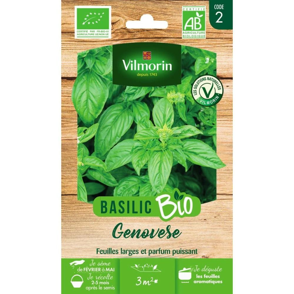 Sachet graines basilic genovese bio - ocimum basilicum