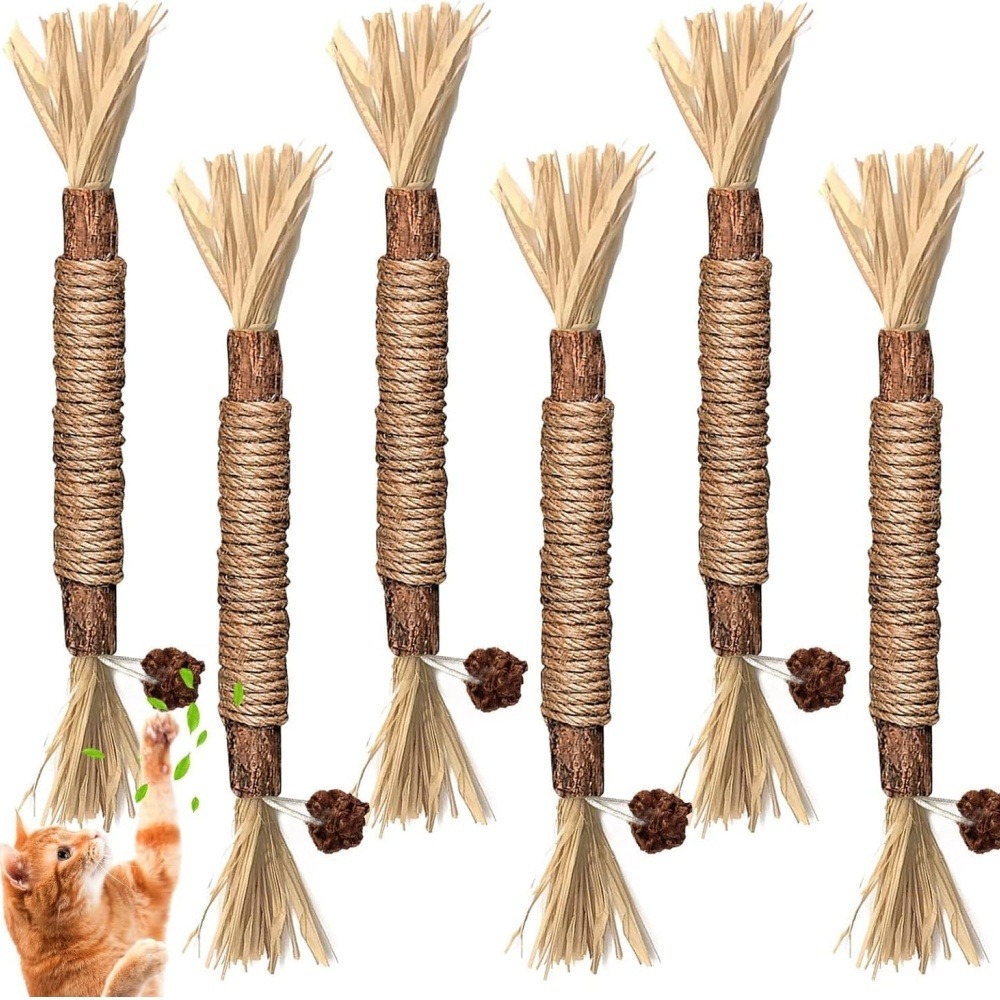 Bâtonnets herbe à chat 6 pièces 22cm-bâton de dentition pour chat-bon pour la santé dentaire