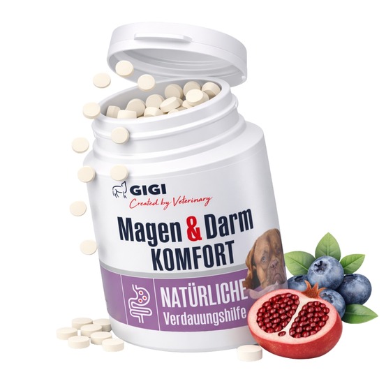 Gigi vet confort estomac & intestin pour grands chiens au système digestif sensible 30 comprimés