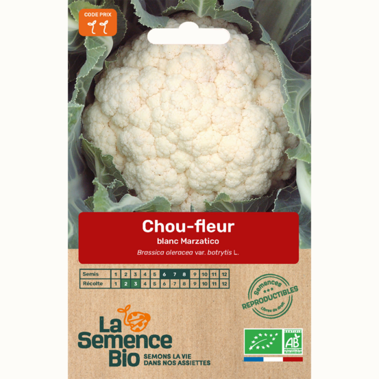 Chou-fleur blanc marzatico - graines bio