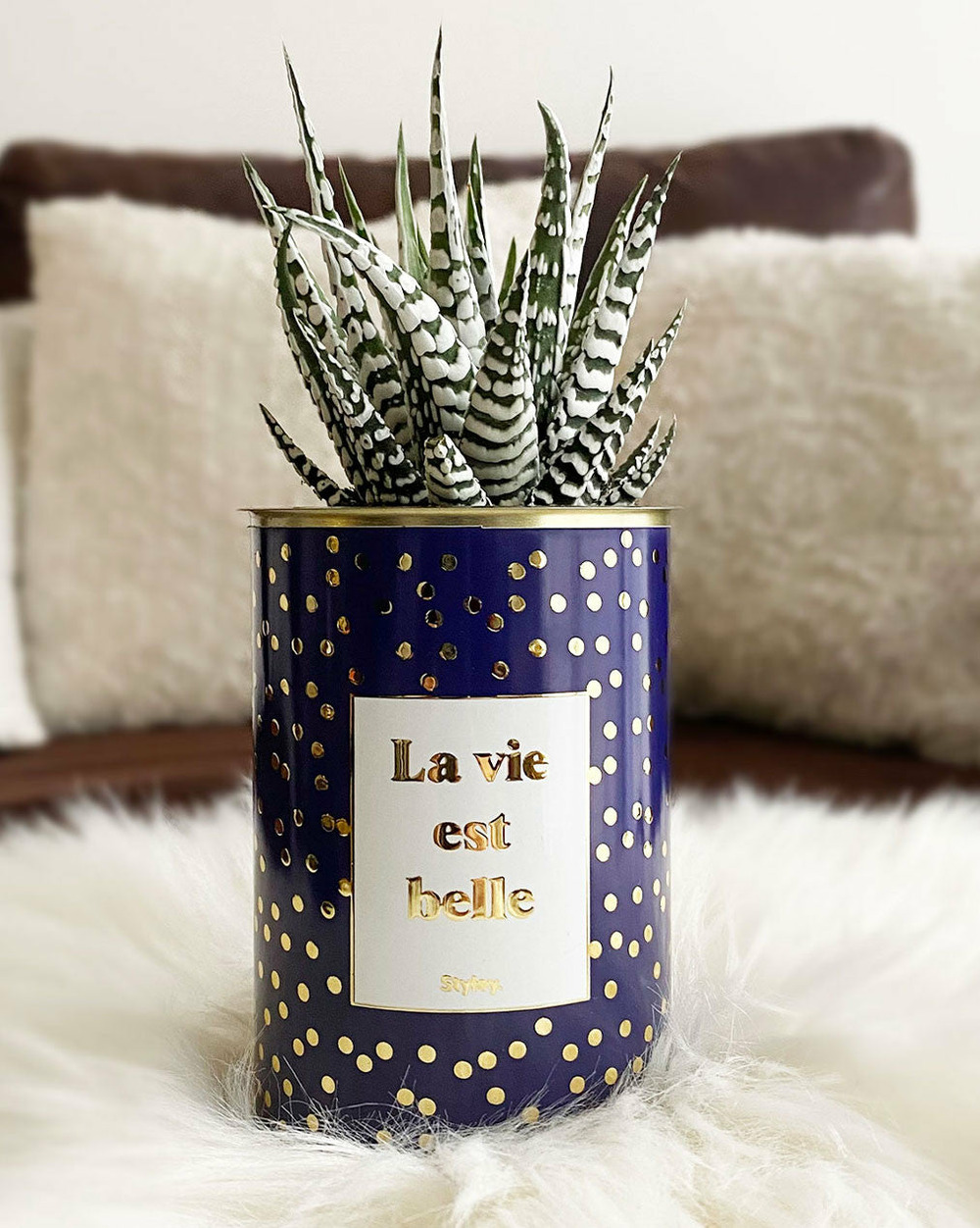 Idée cadeau - la vie est belle - cactus - finitions gold