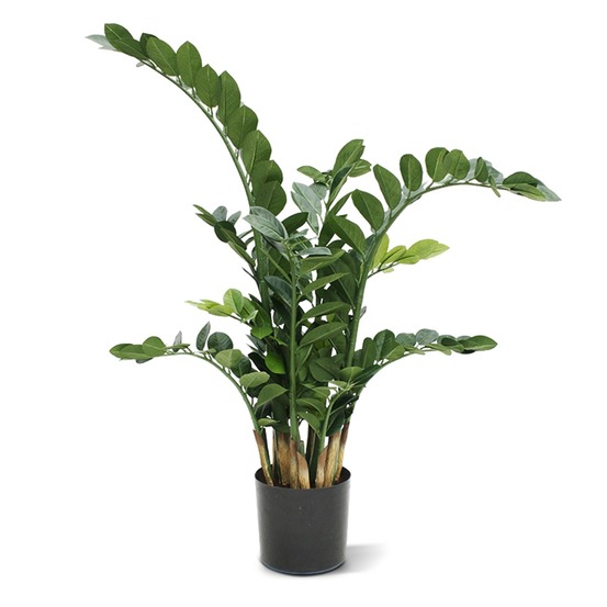 Zamioculcas plante artificielle 100 cm