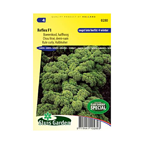 Chou frisé 'reflex' le sachet de 120 graines environ (0,5g)