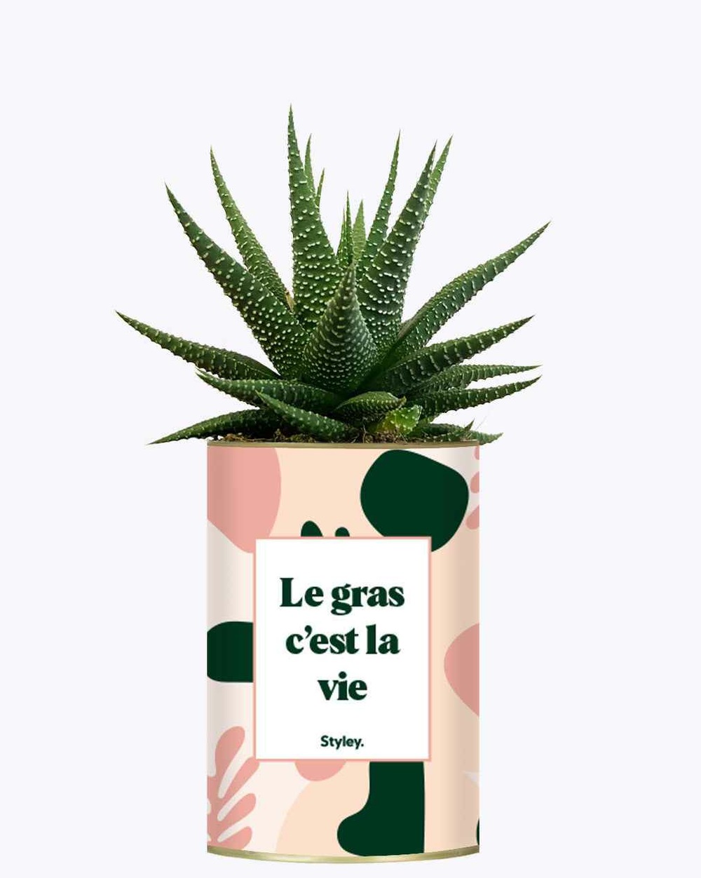 Idée cadeau - le gras c'est la vie - cactus