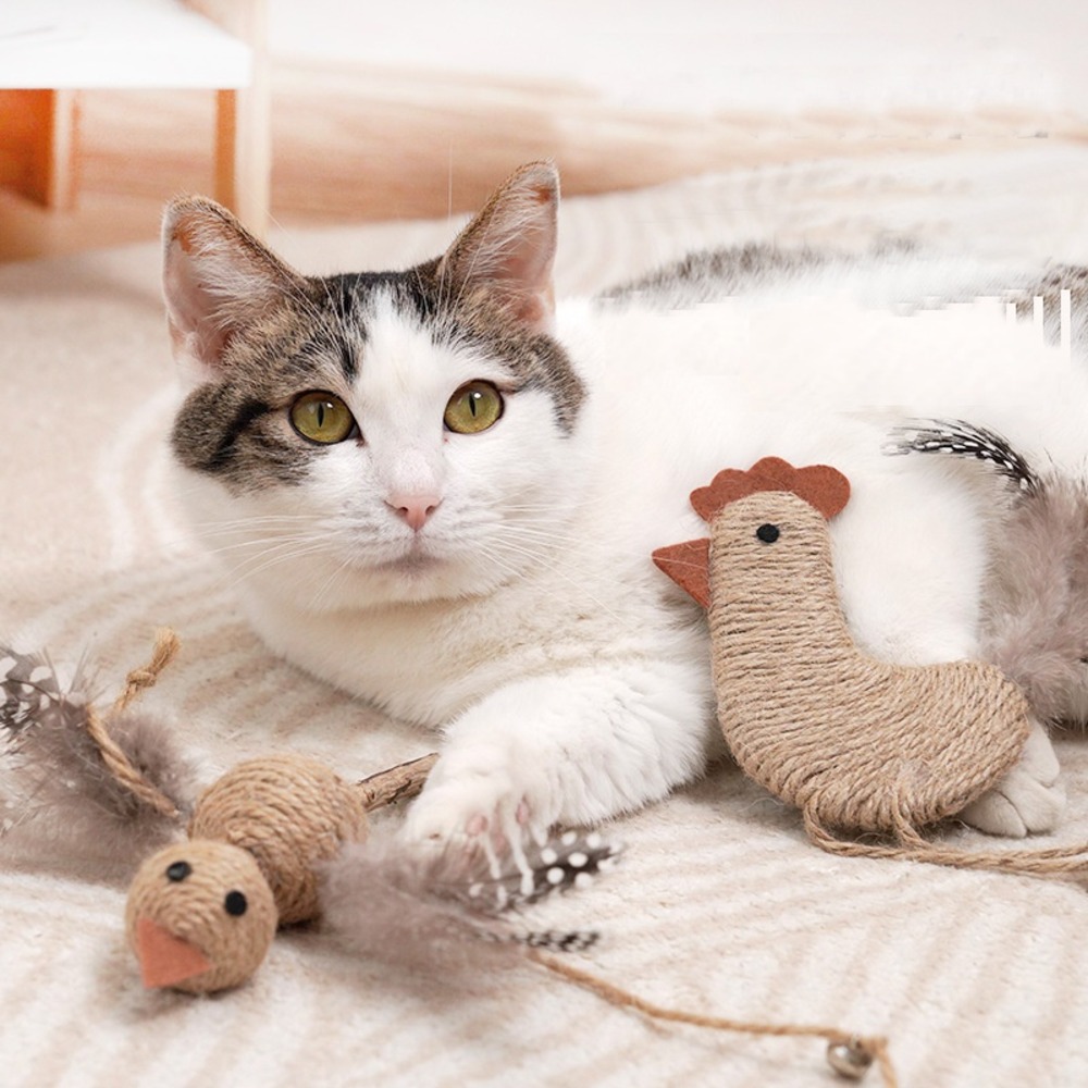 Lot de 3 bâtonnets de dentition dtopbuyage