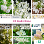 Kit jardin blanc - 9 variétés - lot de 12 godets