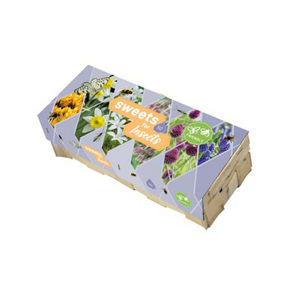 Bulbes de fleurs pour insectes multicolore