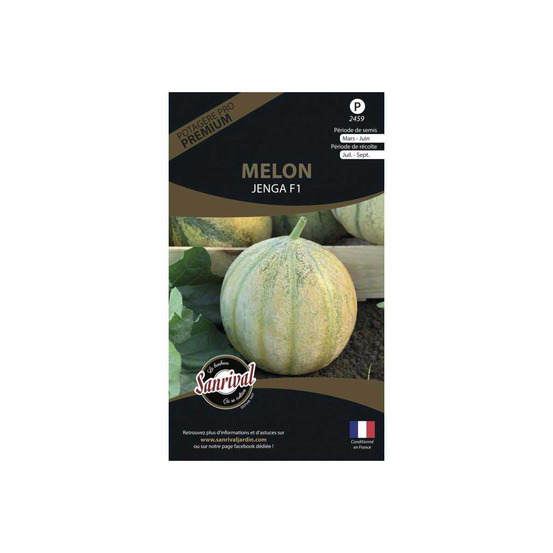 Graines potagères premium melon charentais jenga