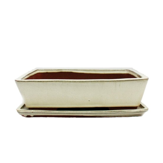 Bol bonsaï avec soucoupe taille 5 - beige clair - carré - modèle g30 - l 31cm - b 23cm - h 8 cm