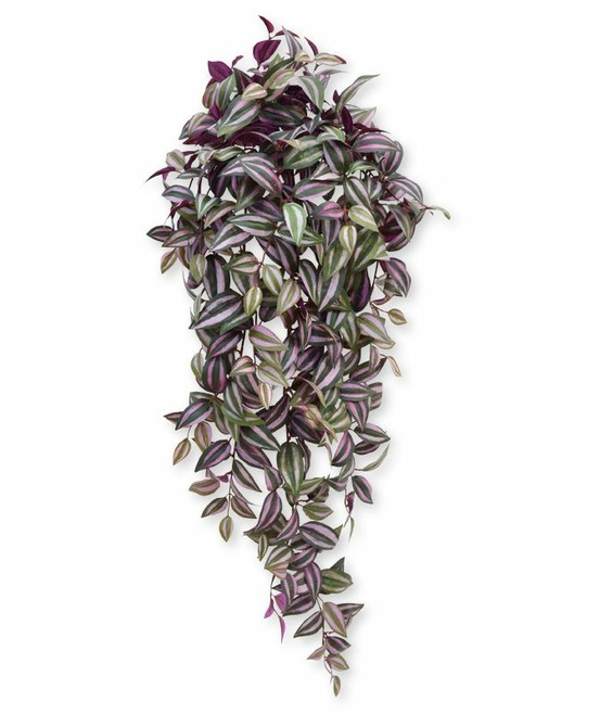 Tradescantia de 100 cm en chute violet