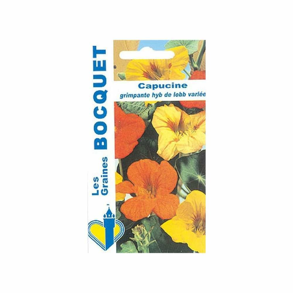 Capucine grimpante Hyb de Lobb variÃ©e