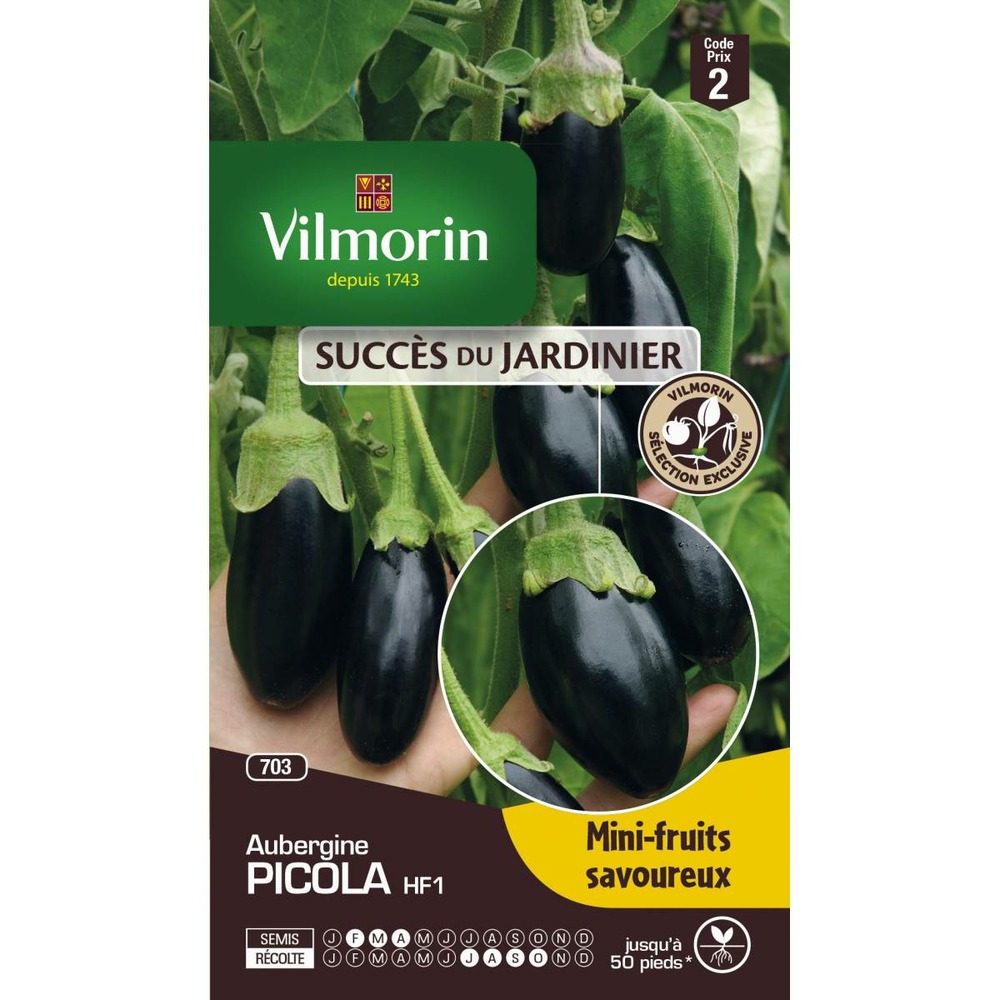 Sachet graines aubergine picola hf1