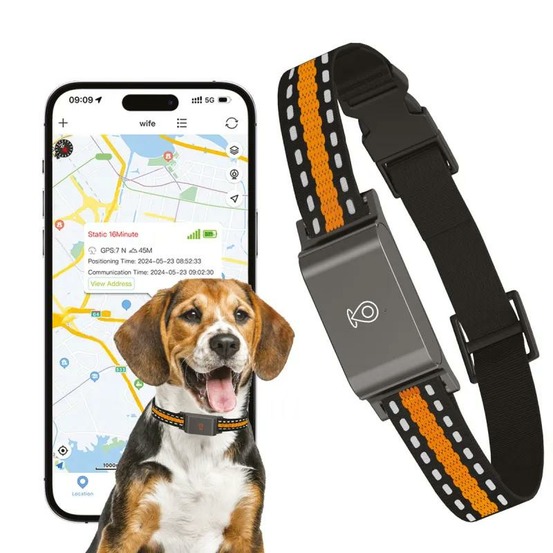 Collier traceur gps 4g pour animaux - ip65 - application gratuite