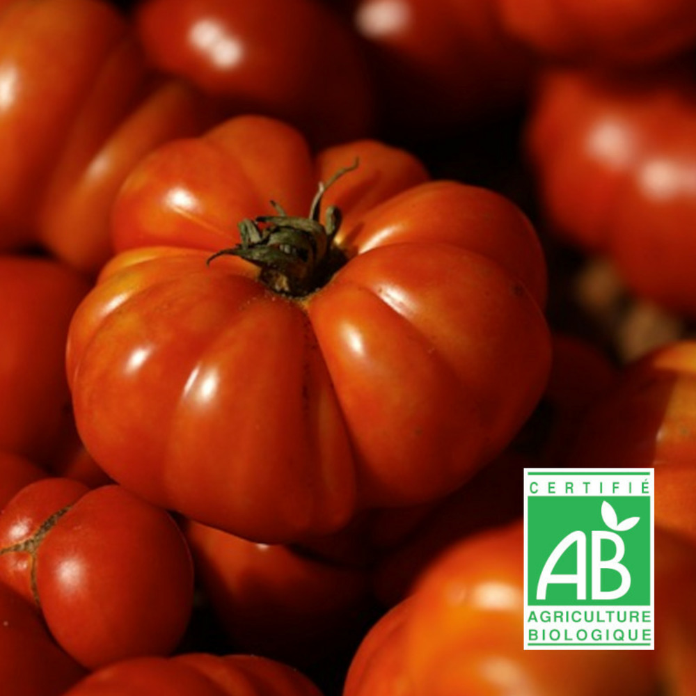 Graines de tomate couille de taureau - sans traitement sachet