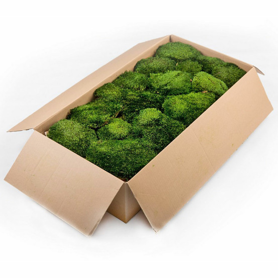 Mbp/2000 mousse boule province stabilisée vert foncé carton vrac 2 kg