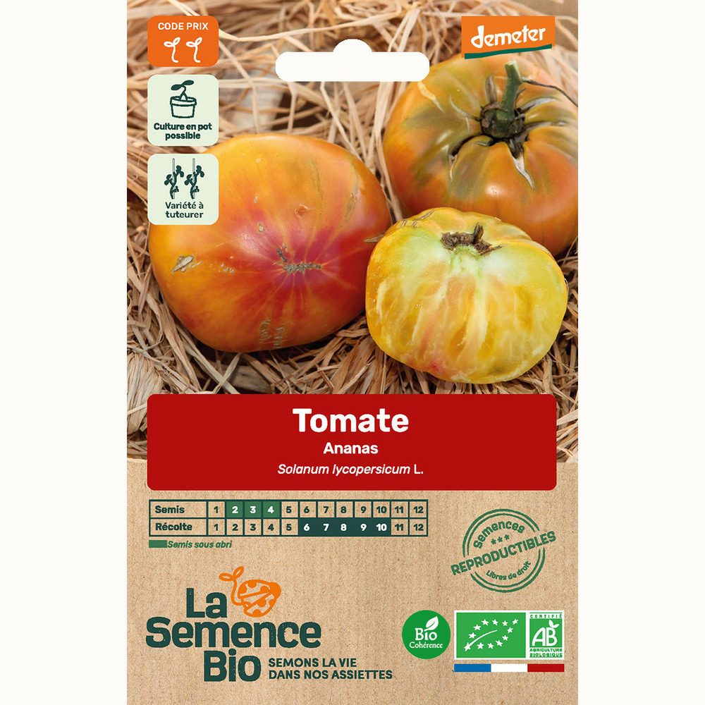 Tomate ananas - graines bio