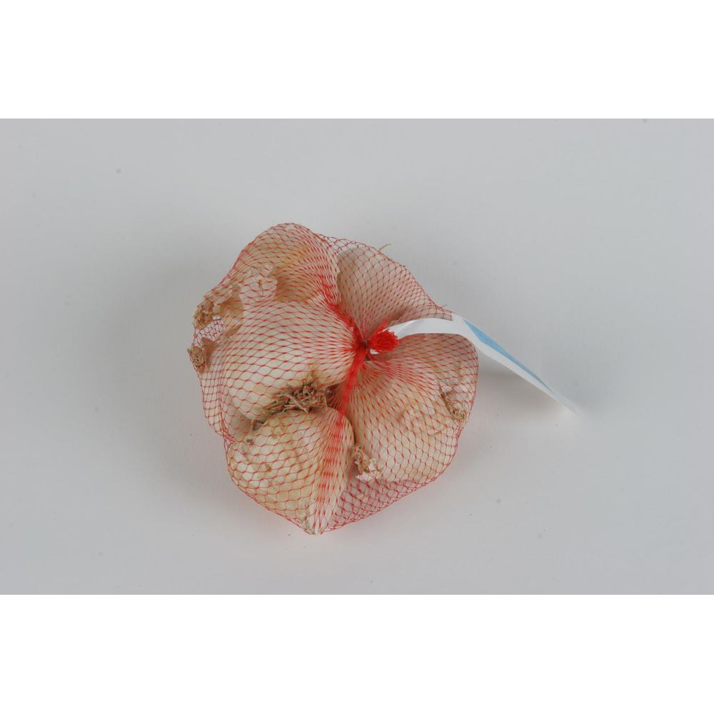 Ail messidrome - 500 g