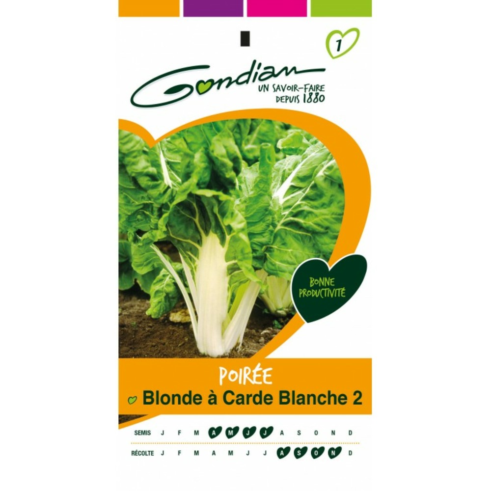 Poirée blonde a carde blanche 2