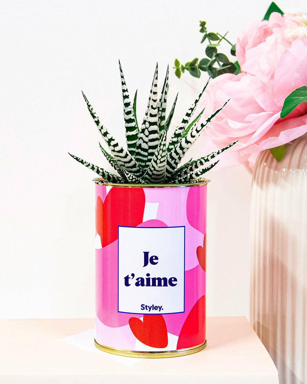 Plante à message - aime - saint valentin - cactus