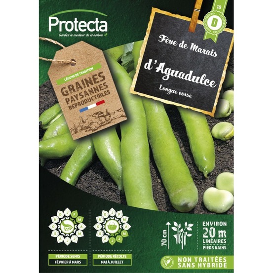 Graines paysannes - fève d'agualduce à très longue cosse