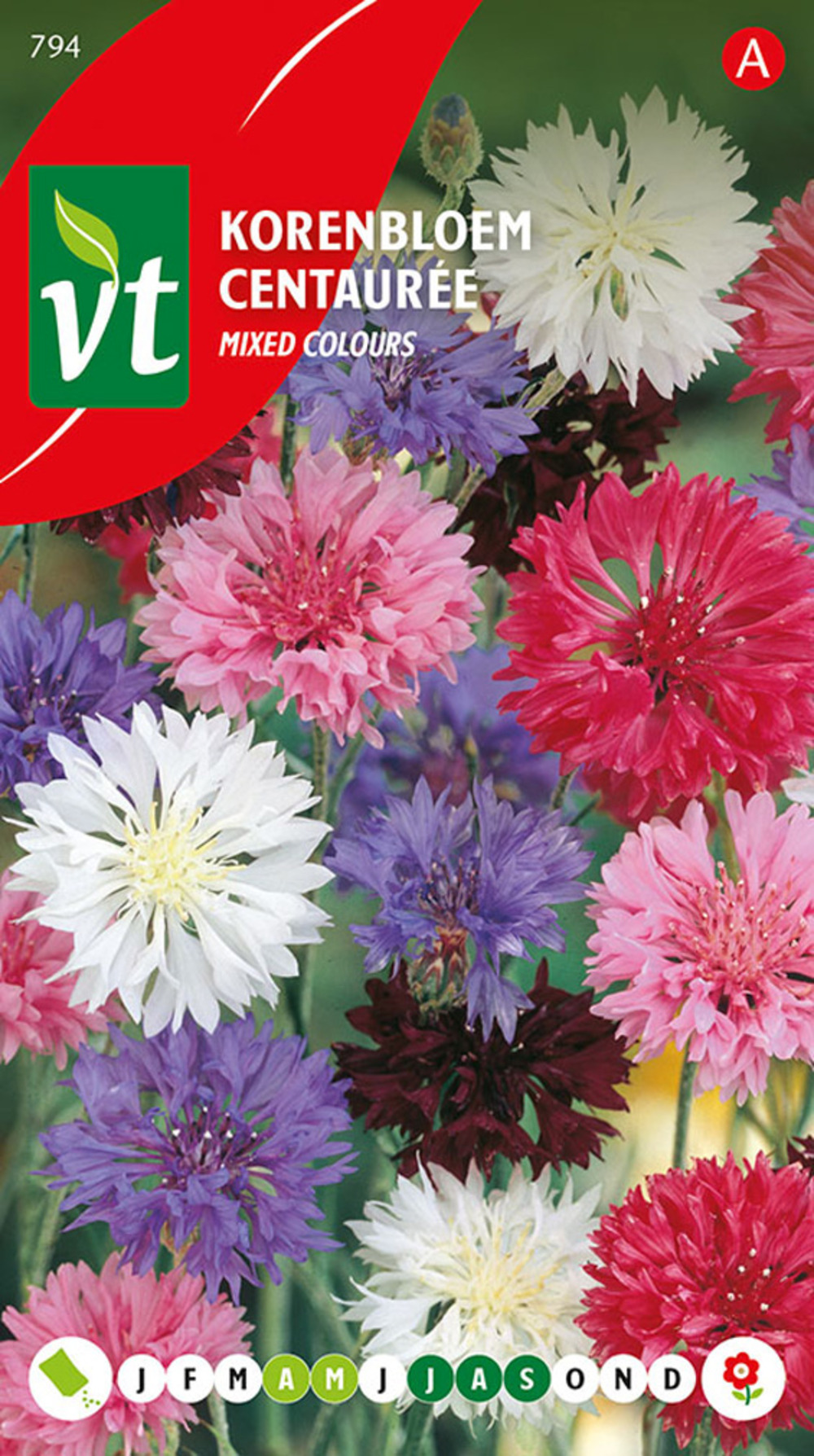 Centauree variee - ca. 1 gr (livraison gratuite)