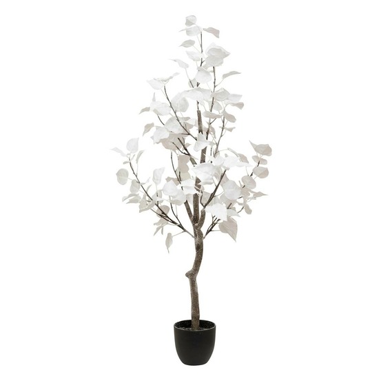 Arbuste blc pot h120