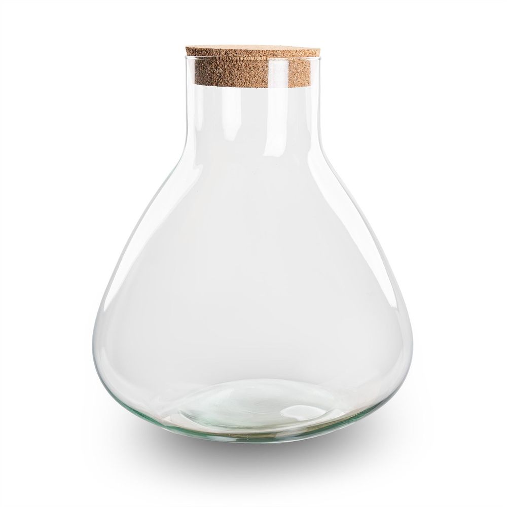 Terrarium bouteille - terrarium - model: sammie - ↑ 26,5 cm - terrarium diy