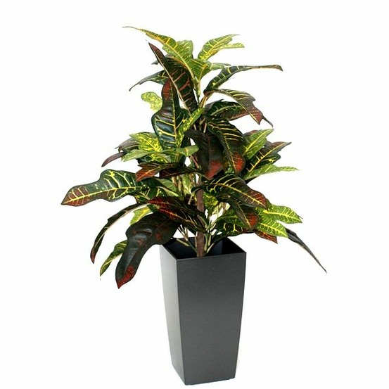 Croton plante artificielle 50cm