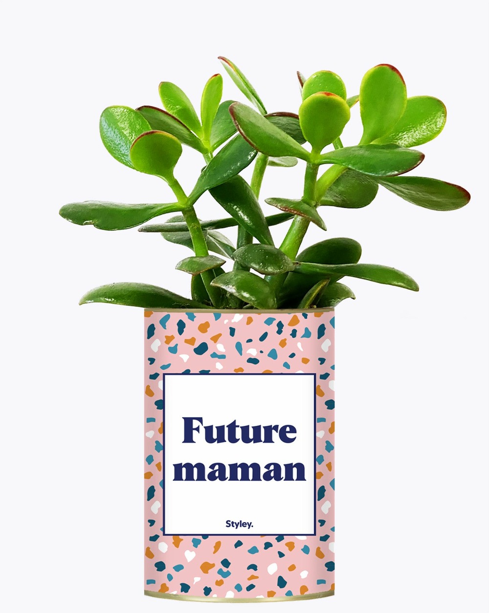 Plante à message - future maman - plante