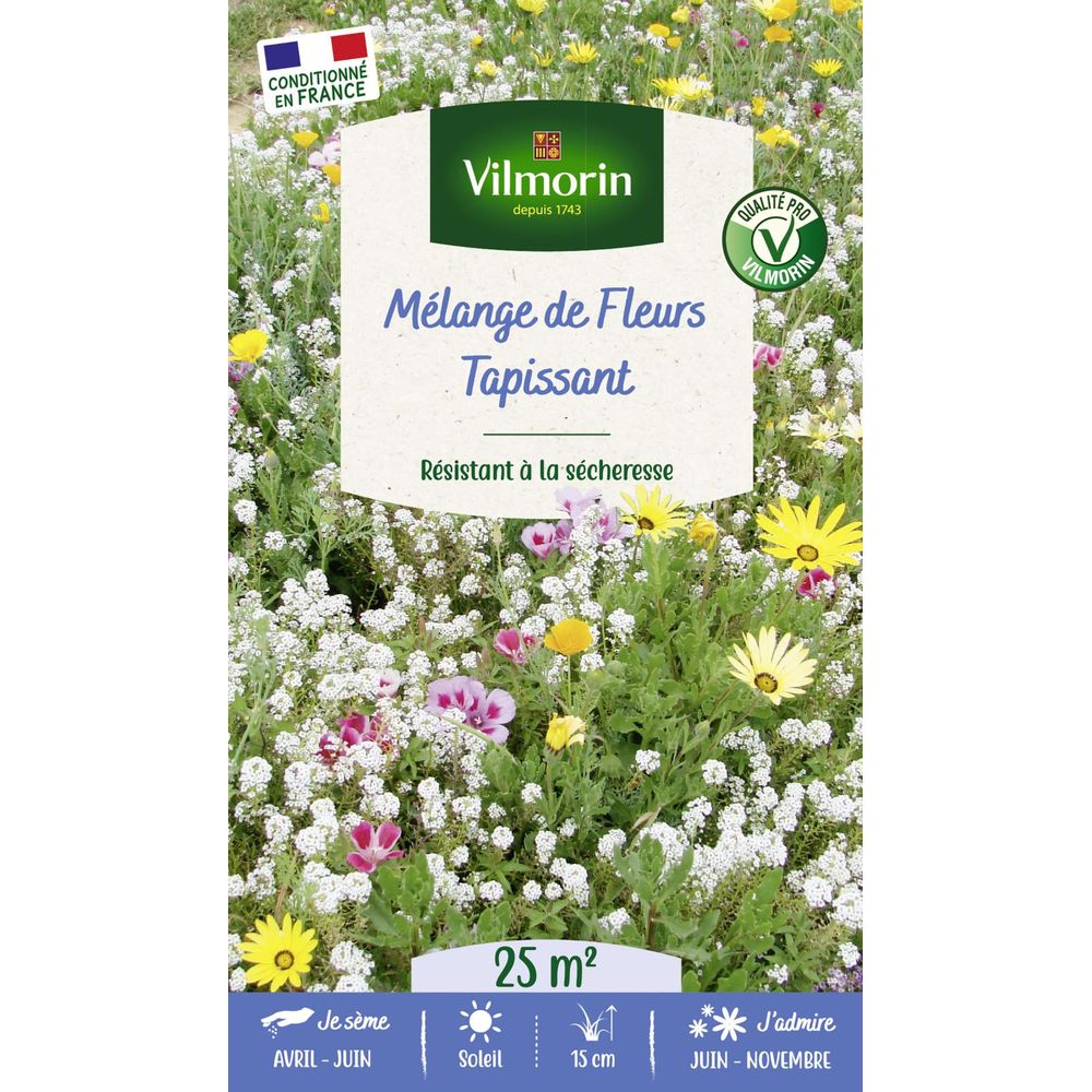 Mélange tapissant - 25 m² - mélange de fleurs