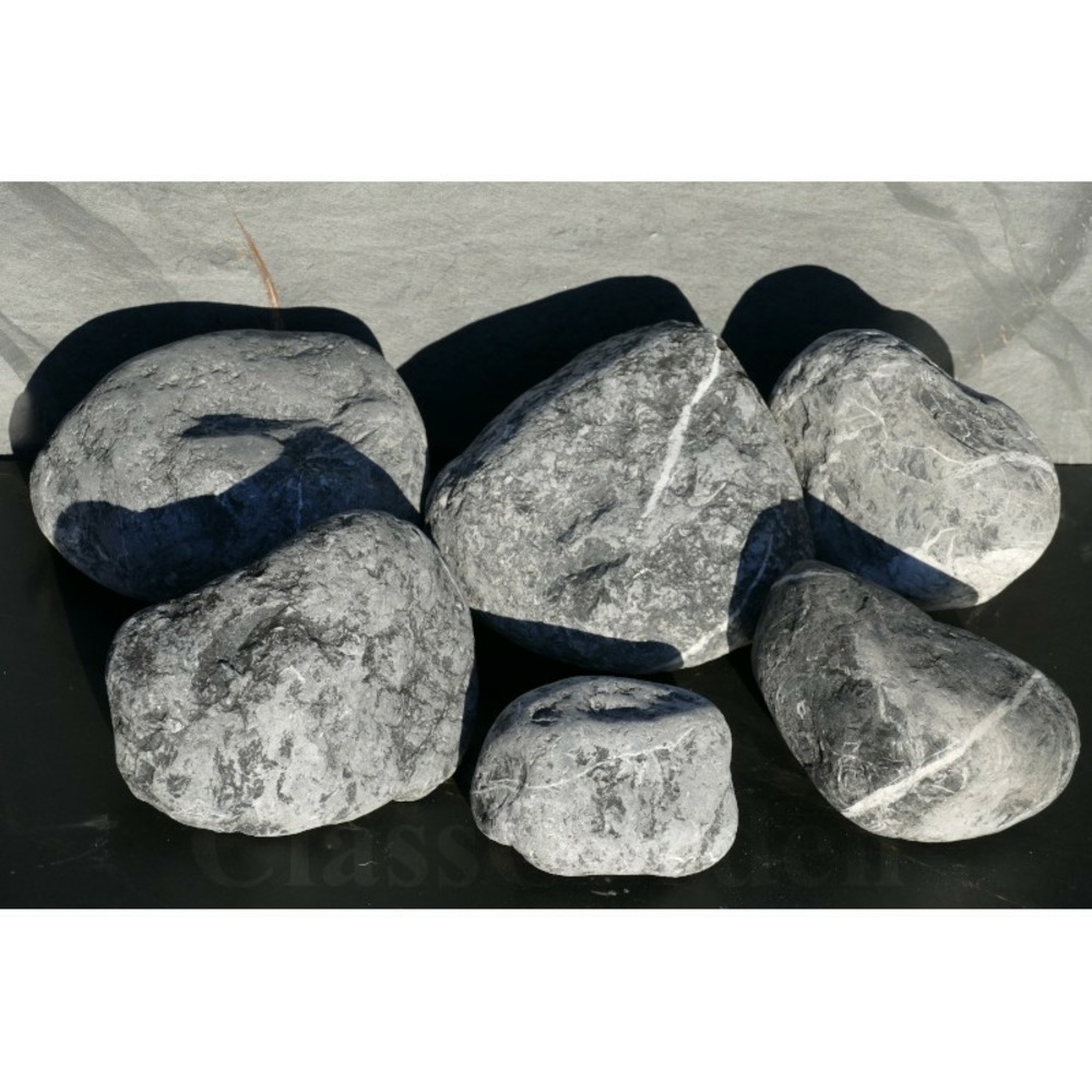 Gros galet noir electric 200-300 - pack 6 galet