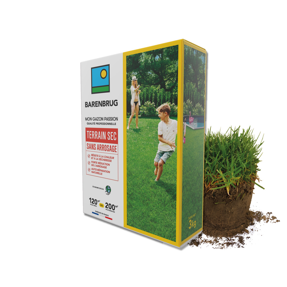 Barenbrug - gazon terrain sec sans arrosage - résiste à la chaleur et à la sécheresse - forte réduction de l'arrosage