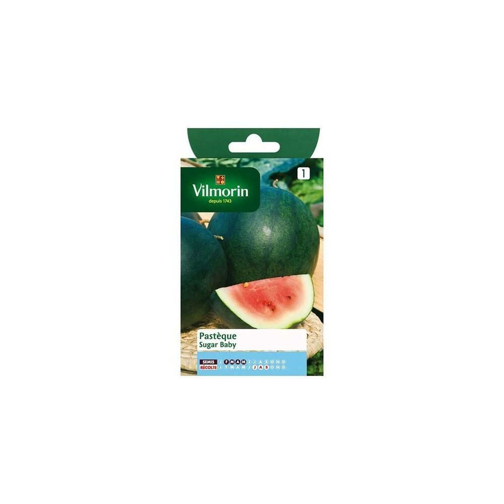 Sachet graines pastèque sugar baby