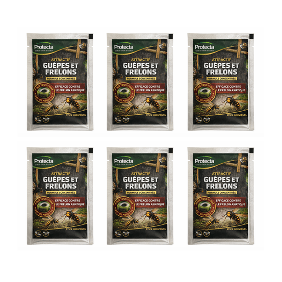 Lot de 6 stick attractif guêpes et frelons - 50 ml