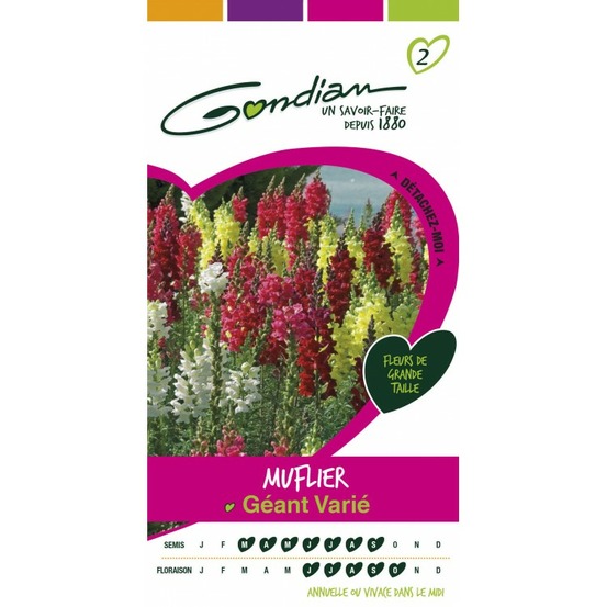 Muflier géant varié