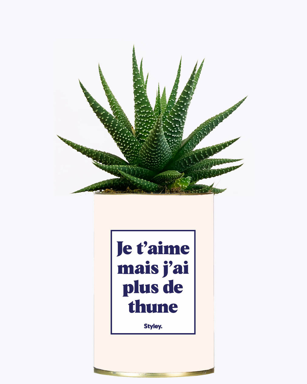 Plante drôle - je t'aime mais j'ai plus de thune - cactus