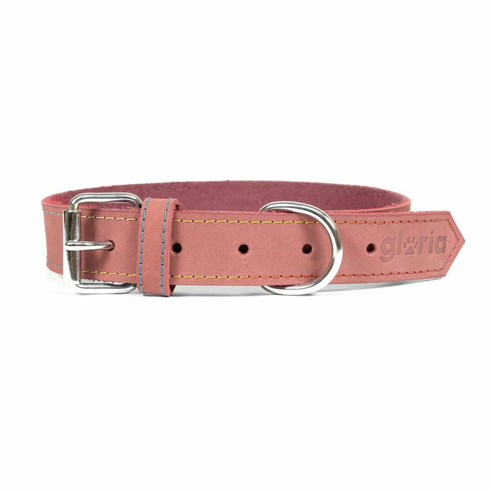 Collier pour chien gloria oasis rose (NULL,5 x 40 cm)