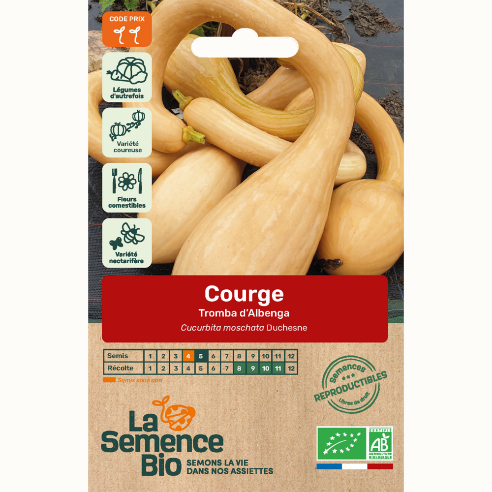 Courge tromba d'albenga - graines bio