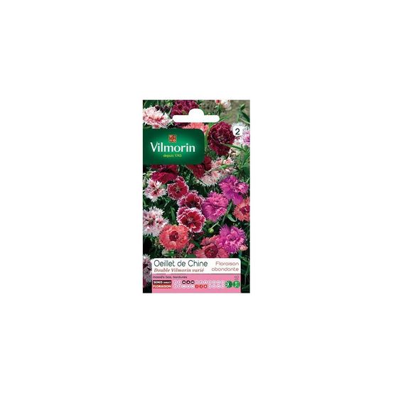 Sachet graines oeillet de chine double vilmorin varié